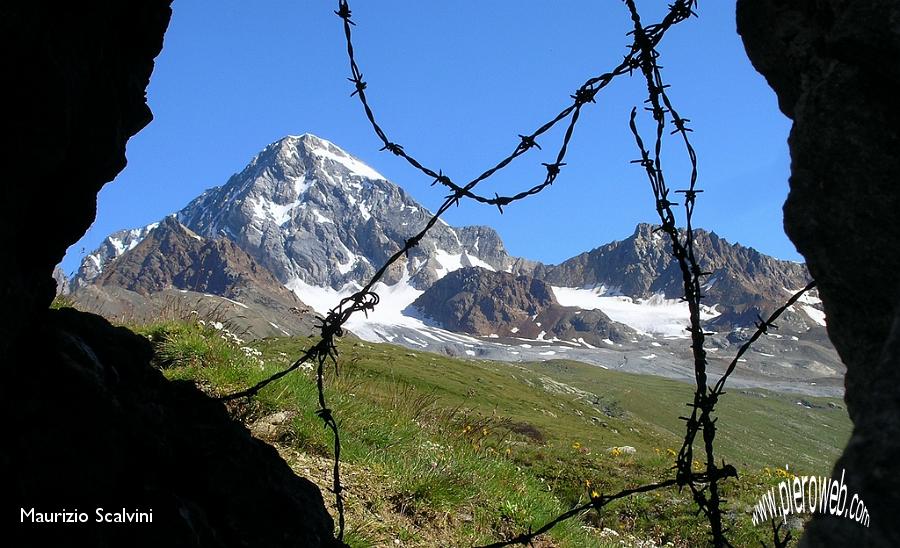 05 Ricordi di Guerra.JPG